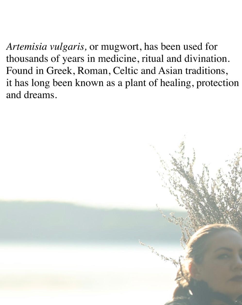Artemisia herbal smoke limited edition