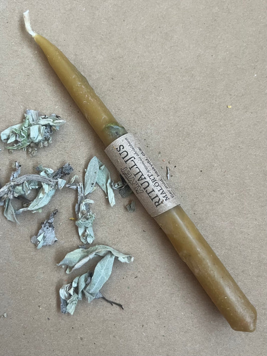Ritual Candle Wormwood