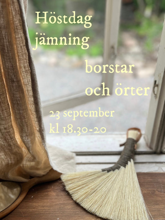 Workshop Borstar & örter