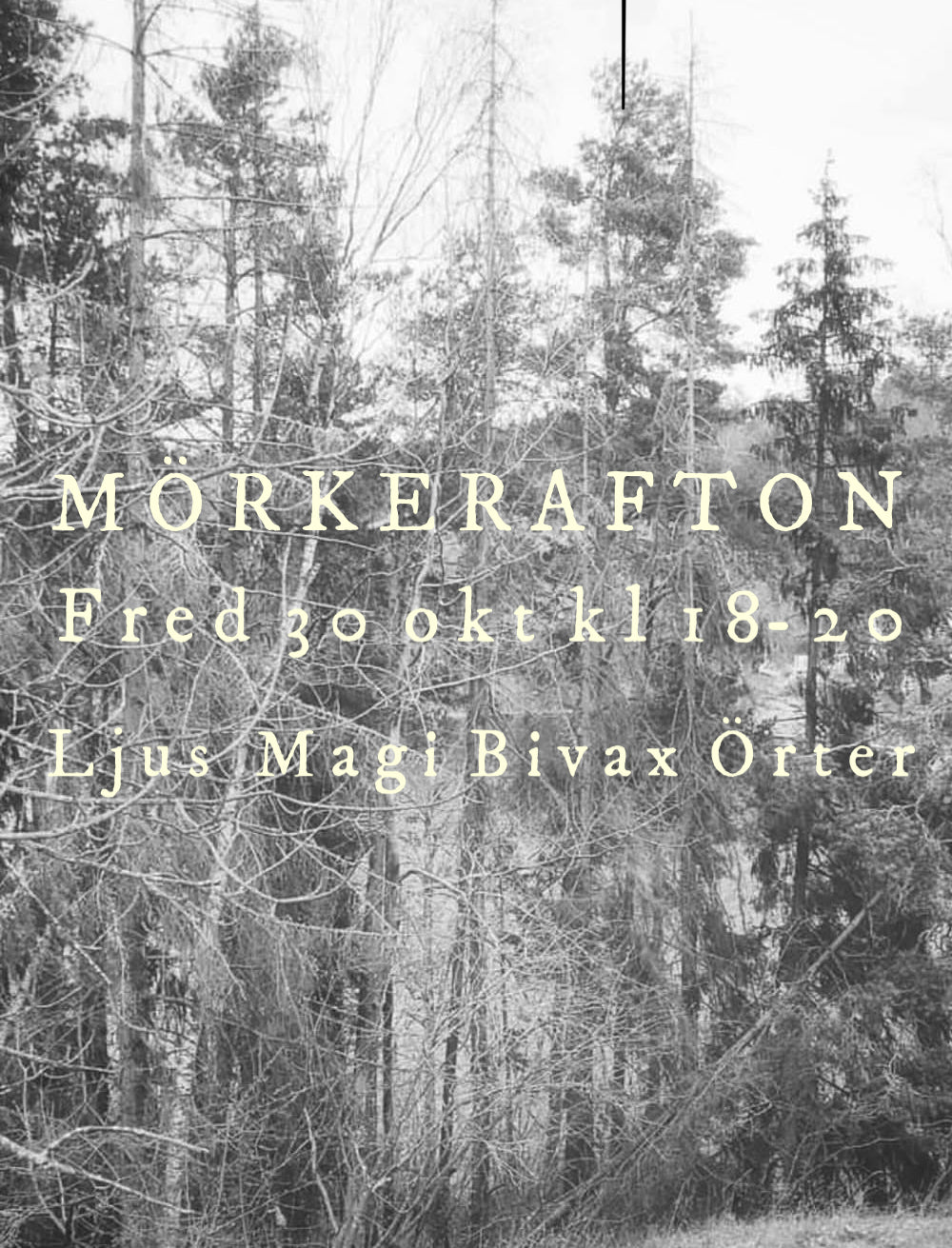 Mörkerafton 30/10