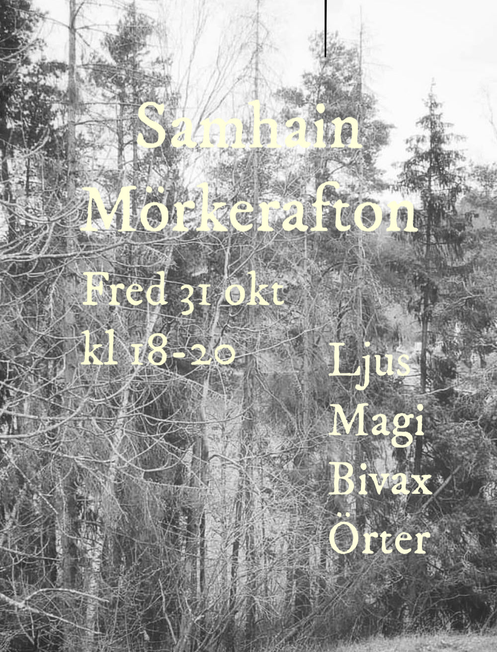 Årshjulsworkshop Mörkerafton/Samhain