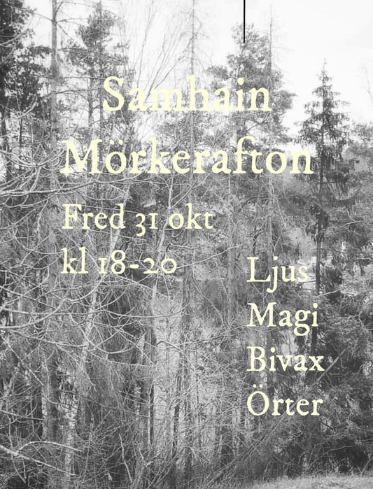 Årshjulsworkshop Mörkerafton/Samhain